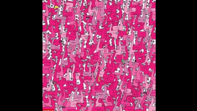optical-illusion-spot-the-heart-among-flamingoes-in-under-10-seconds